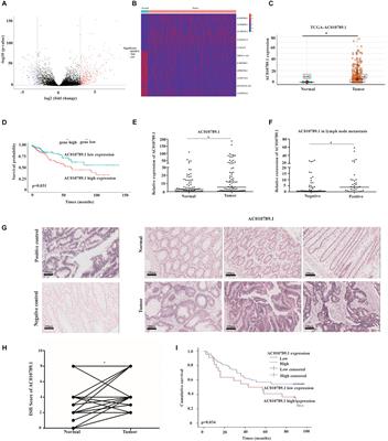 LncRNA AC010789.1 Promotes Colorectal Cancer Progression by Targeting MicroRNA-432-3p/ZEB1 Axis and the Wnt/β-Catenin Signaling Pathway